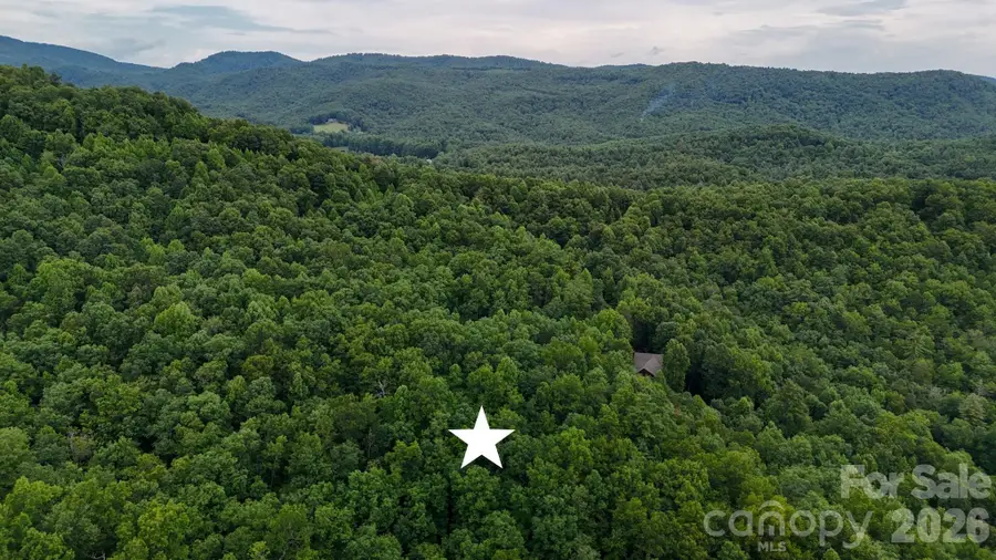 365 Big Bear Trail #25, Zirconia, NC 28790 - #2