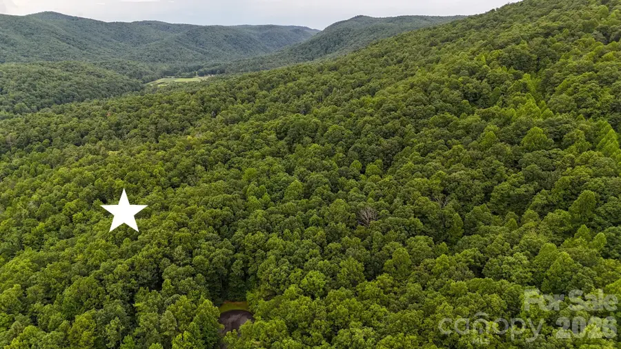 365 Big Bear Trail #25, Zirconia, NC 28790 - #3