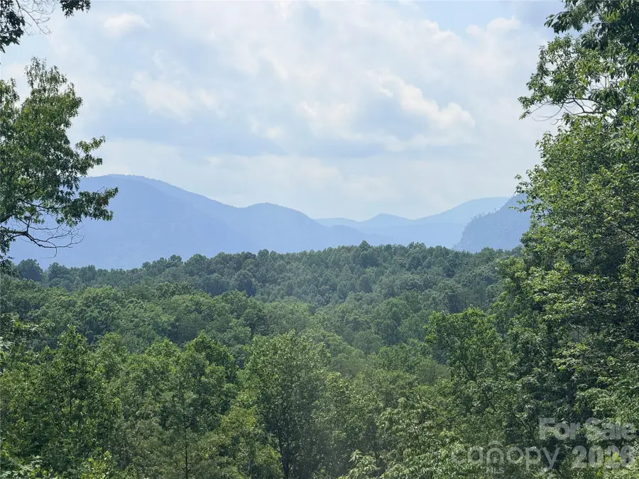 0 Rock Ledge Drive #247, Lake Lure, NC 28746 - #2