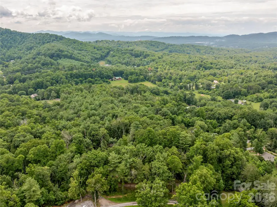99999 Reynolds School Road, Asheville, NC 28806 - #3