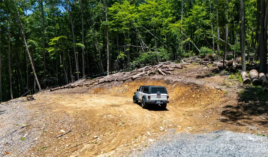 000 Hamlin Lane, Mars Hill, NC 28754 - #2