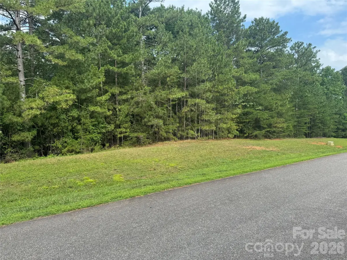205 Riverwalk Drive, Connelly Springs, NC 28612 - #1
