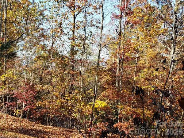TBD Top Oaks Lane #Lot 58, Pisgah Forest, NC 28768