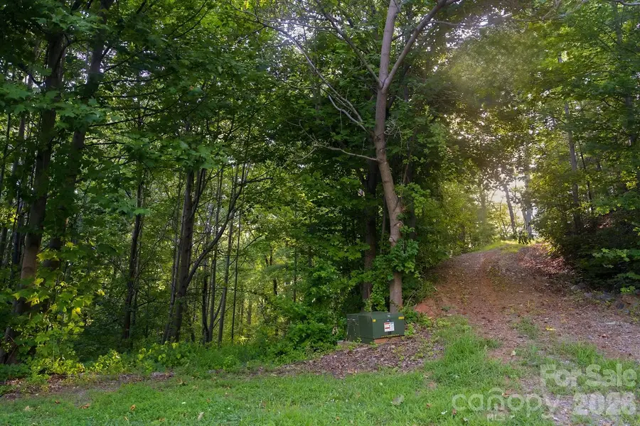 00 Ragans Pointe Pointe #58, Columbus, NC 28722 - #3