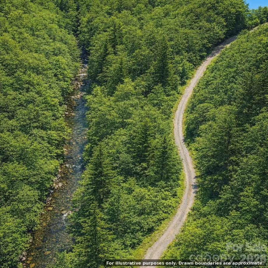 0000 Rainbow Trout Drive, Burnsville, NC 28714 - #2