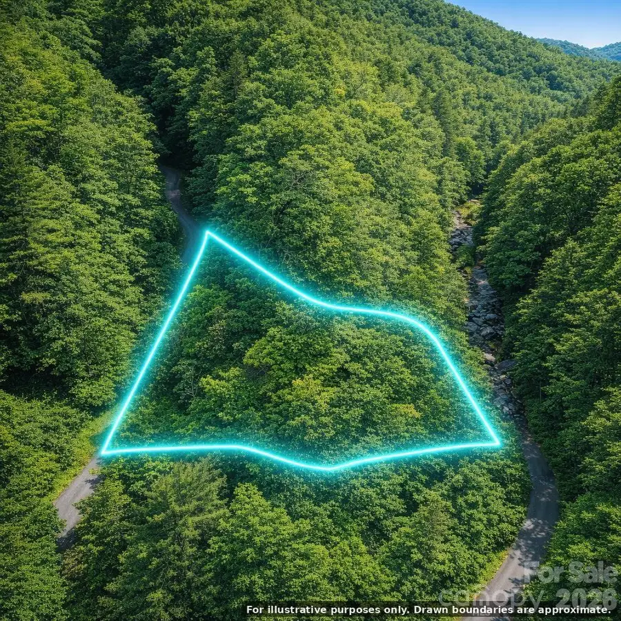 0000 Rainbow Trout Drive, Burnsville, NC 28714 - #3