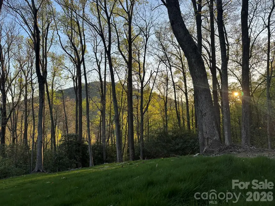 000 Hemlock Grove Trail #51, Fletcher, NC 28732 - #3