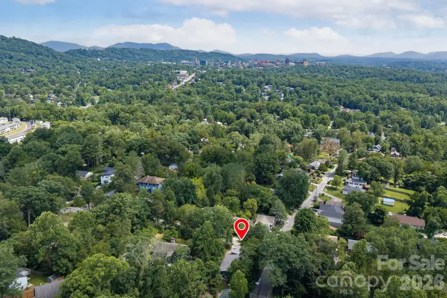 253 Edgewood Road, Asheville, NC 28804 - #3