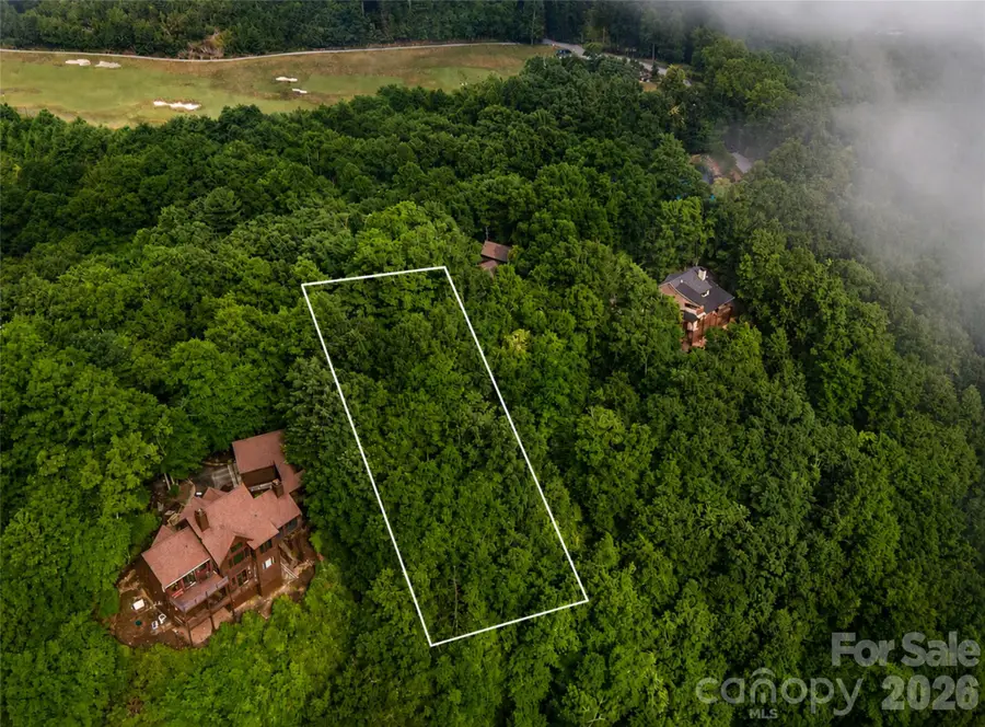 633 Steeplebush Court, Tuckasegee, NC 28783 - #2
