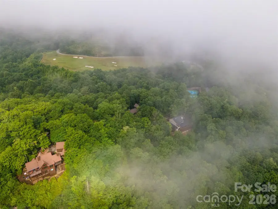633 Steeplebush Court, Tuckasegee, NC 28783 - #3