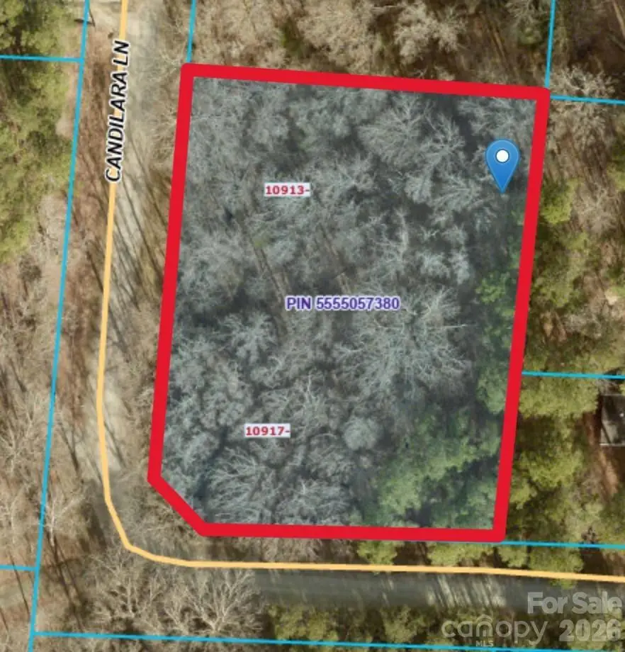 10917 Candilara Lane, Midland, NC 28107 - #1