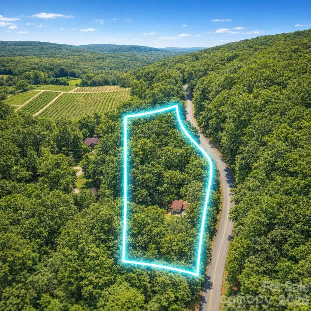 1359 Lamb Mountain Road, Hendersonville, NC 28792 - #1