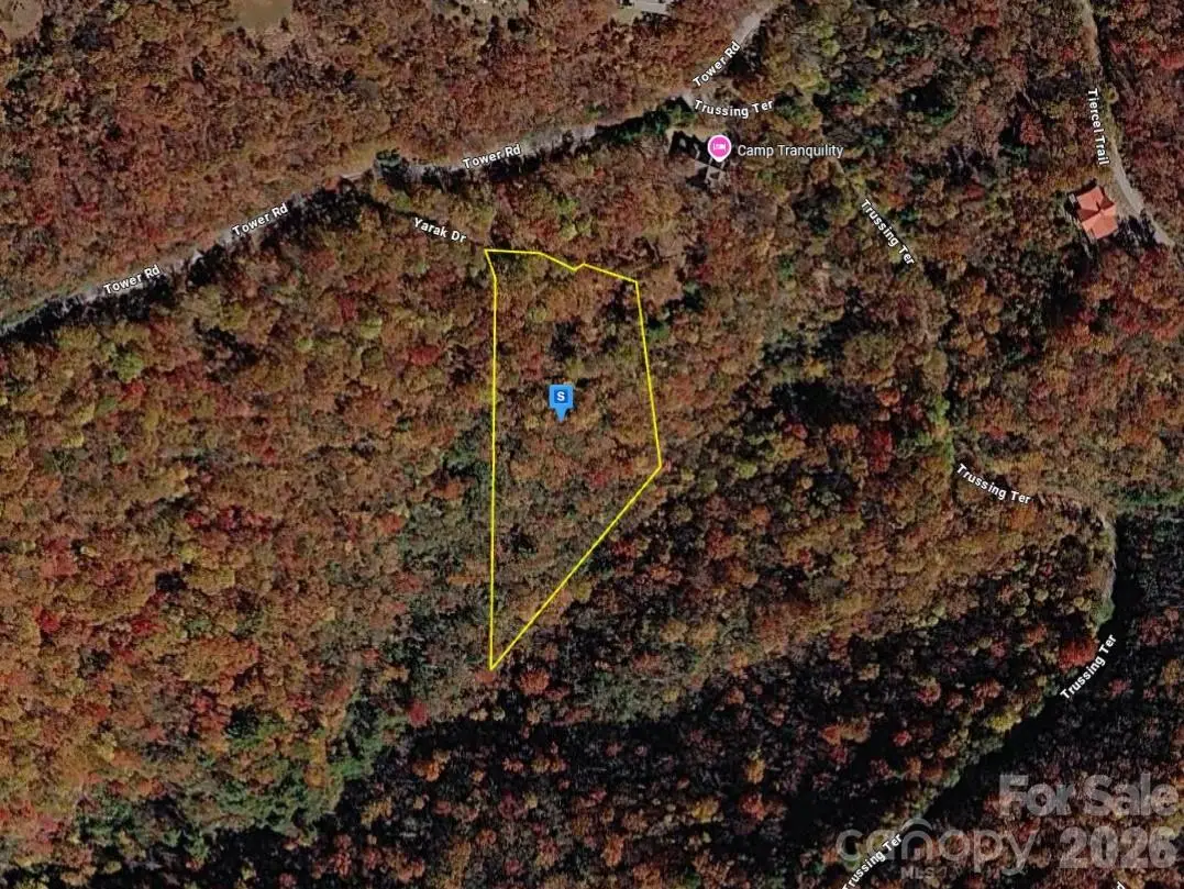1650 Tower Road, Sapphire, NC 28774 - #1
