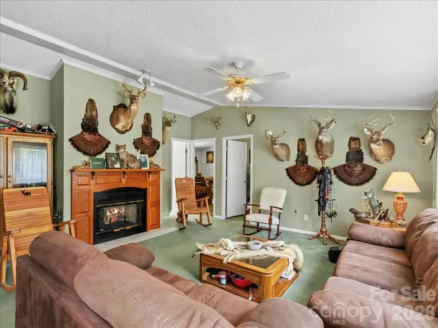98 Cardinal Lane, Burnsville, NC 28714 - #3