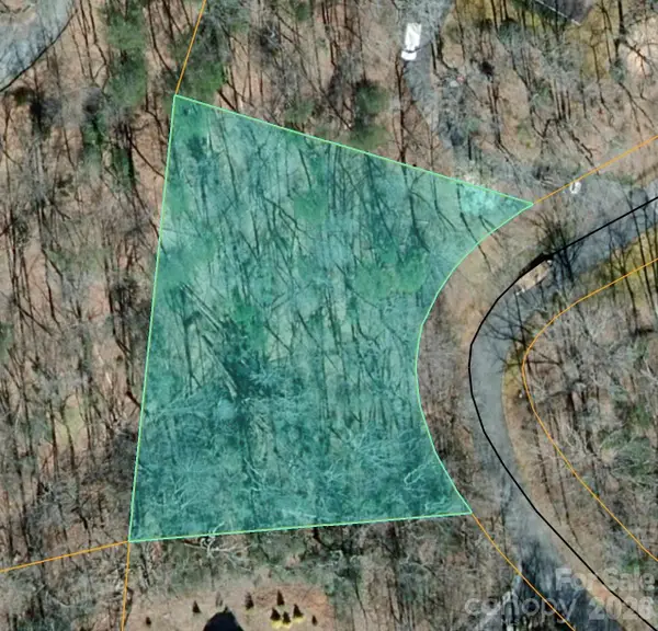 0000 Duck Pond Lane, Columbus, NC 28722