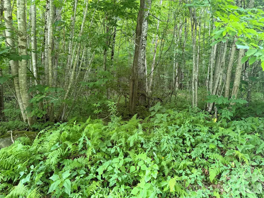 64A Jonathan Trail, Maggie Valley, NC 28751 - #3