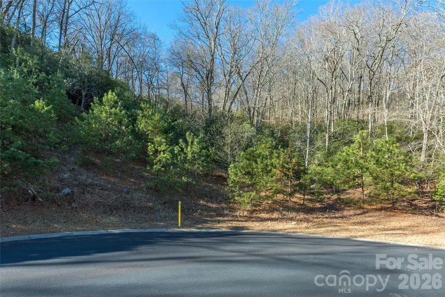 9999 Mayfly Lane #106, Horse Shoe, NC 28742 - #2