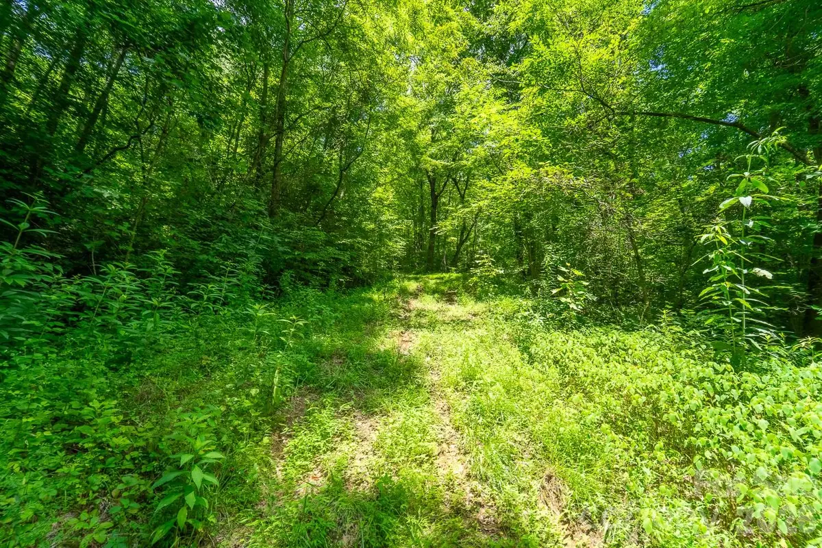 TBD Indian Flats Drive, Sylva, NC 28779 - #1