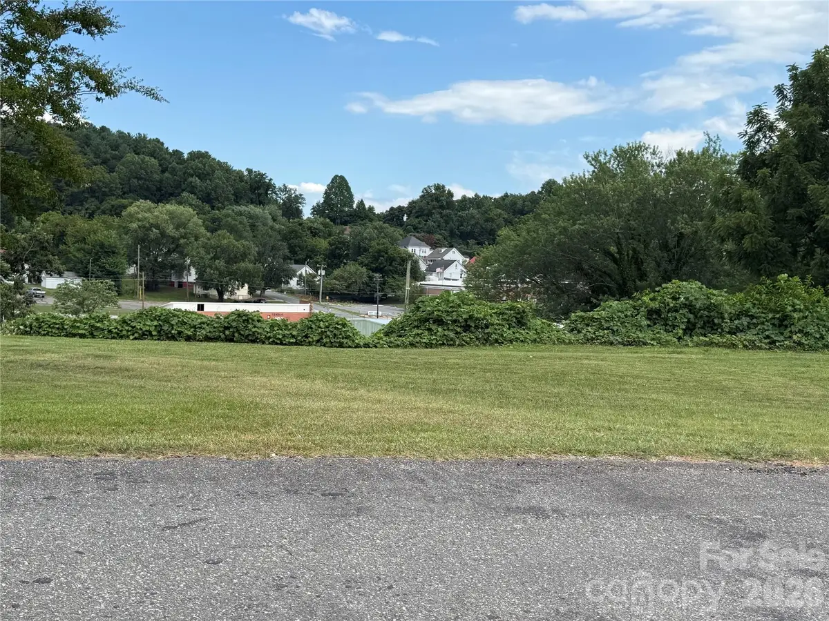 368 Morehead Road, Marion, NC 28752 - #1