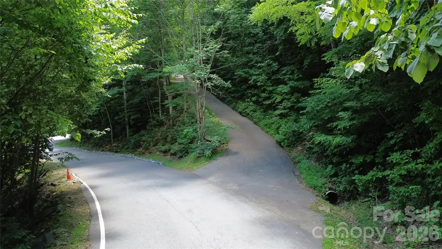 32 Great Aspen Way, Black Mountain, NC 28711 - #2