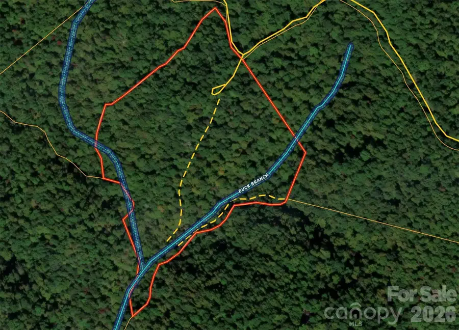 454 Forest Brook Road, Black Mountain, NC 28711 - #2
