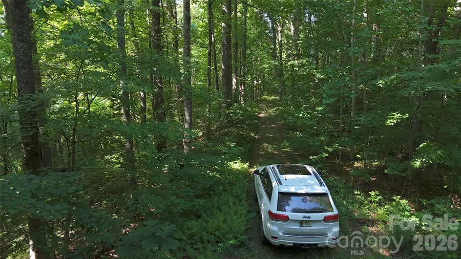 454 Forest Brook Road, Black Mountain, NC 28711 - #3