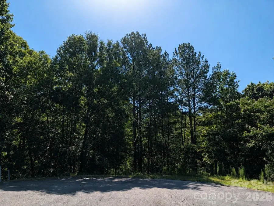 120 Scenic Ridge Drive #36, Mooresboro, NC 28114 - #2