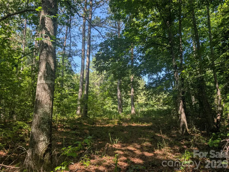 120 Scenic Ridge Drive #36, Mooresboro, NC 28114 - #3