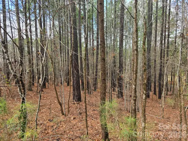 225 Cove Wood Drive, Denton, NC 27239
