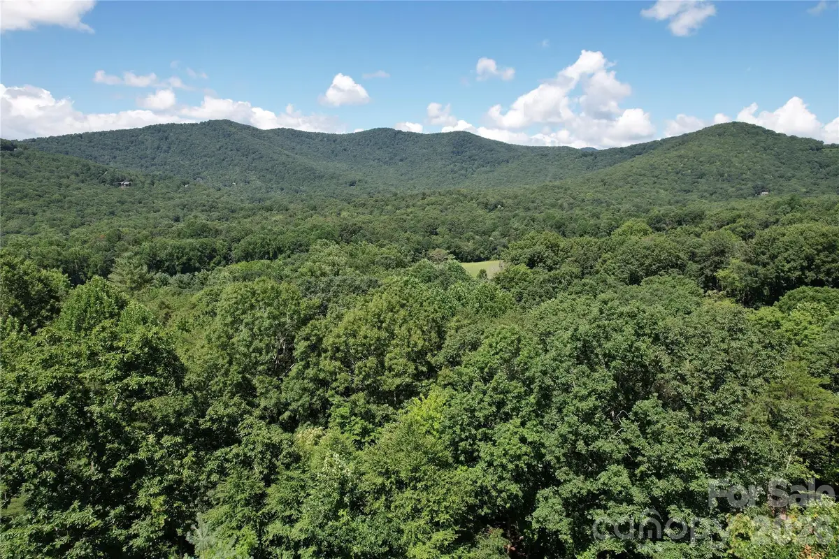 1545 Country View Way #302, Arden, NC 28704 - #1