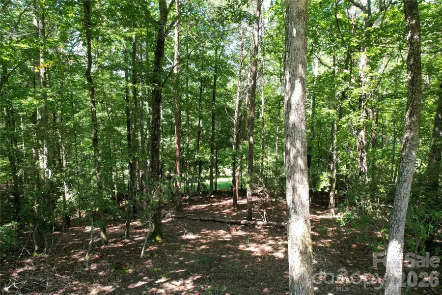 1545 Country View Way #302, Arden, NC 28704 - #2