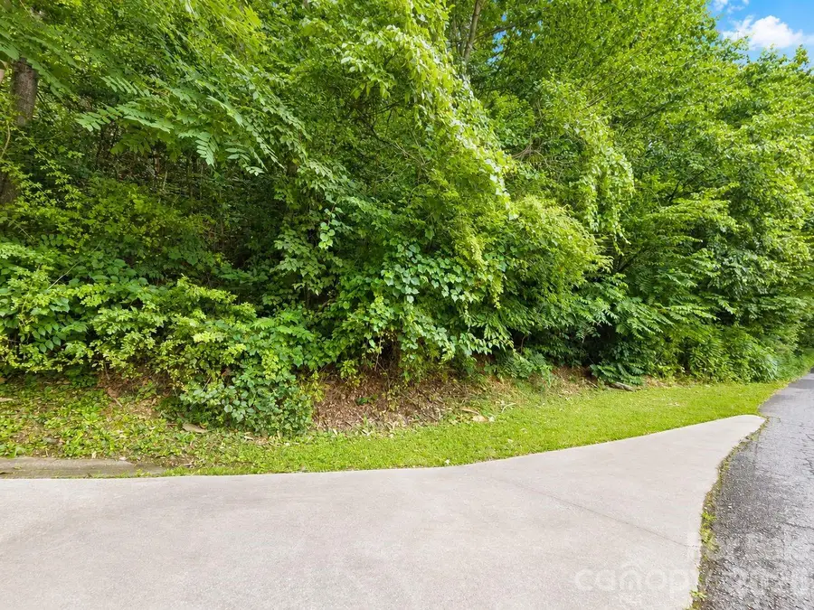 350 Mountain View Drive, Maggie Valley, NC 28751 - #3