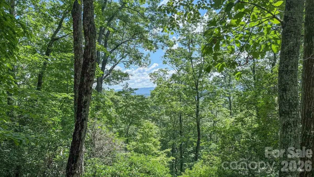 TBD Stone Drive #L40, Brevard, NC 28712 - #1