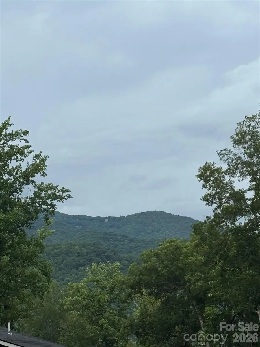 000 Twinbrook Lane #59, Maggie Valley, NC 28751 - #3