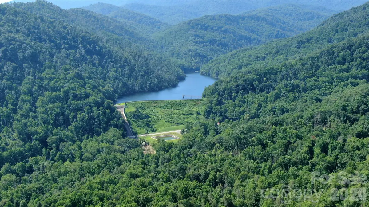 99999 Bee Tree Road, Swannanoa, NC 28778 - #1