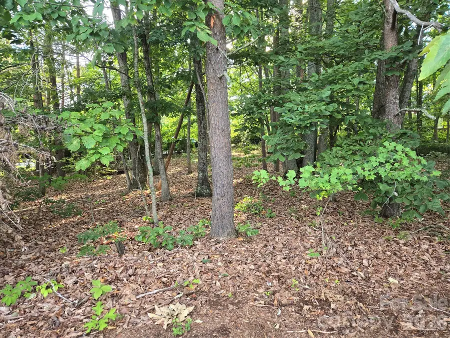 1236 Smithfield Drive, Hudson, NC 28638 - #2