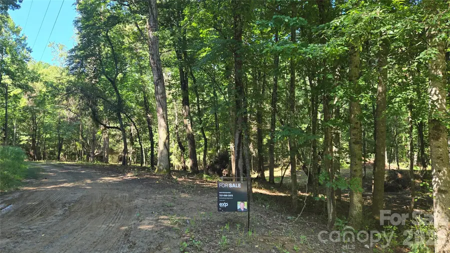 31 Burtiller Lane, Fletcher, NC 28732 - #3