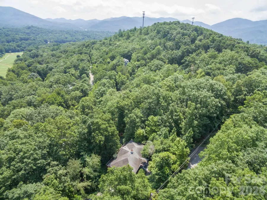 275 Allen Mountain Drive, Black Mountain, NC 28711 - #3