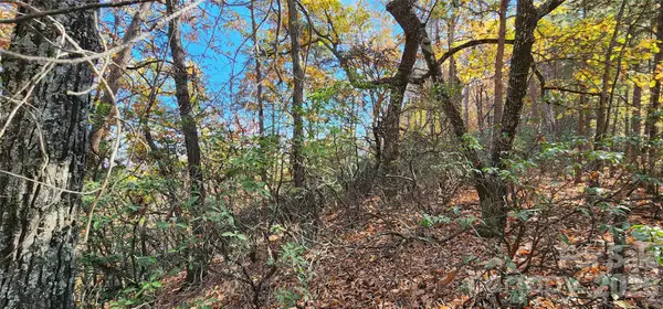 Lot 22 A Pinnacle Parkway #22 A, Union Mills, NC 28167