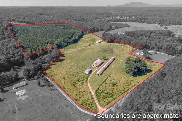 83 Acres +/- Pleasant Grove Road, Rutherfordton, NC 28139