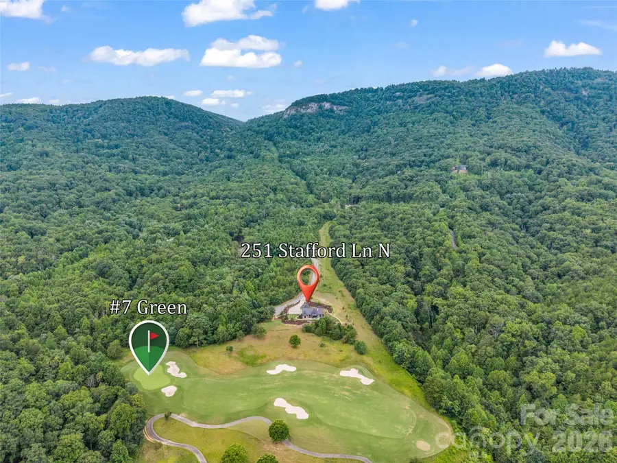 251 Stafford Lane N, Mill Spring, NC 28756 - #3