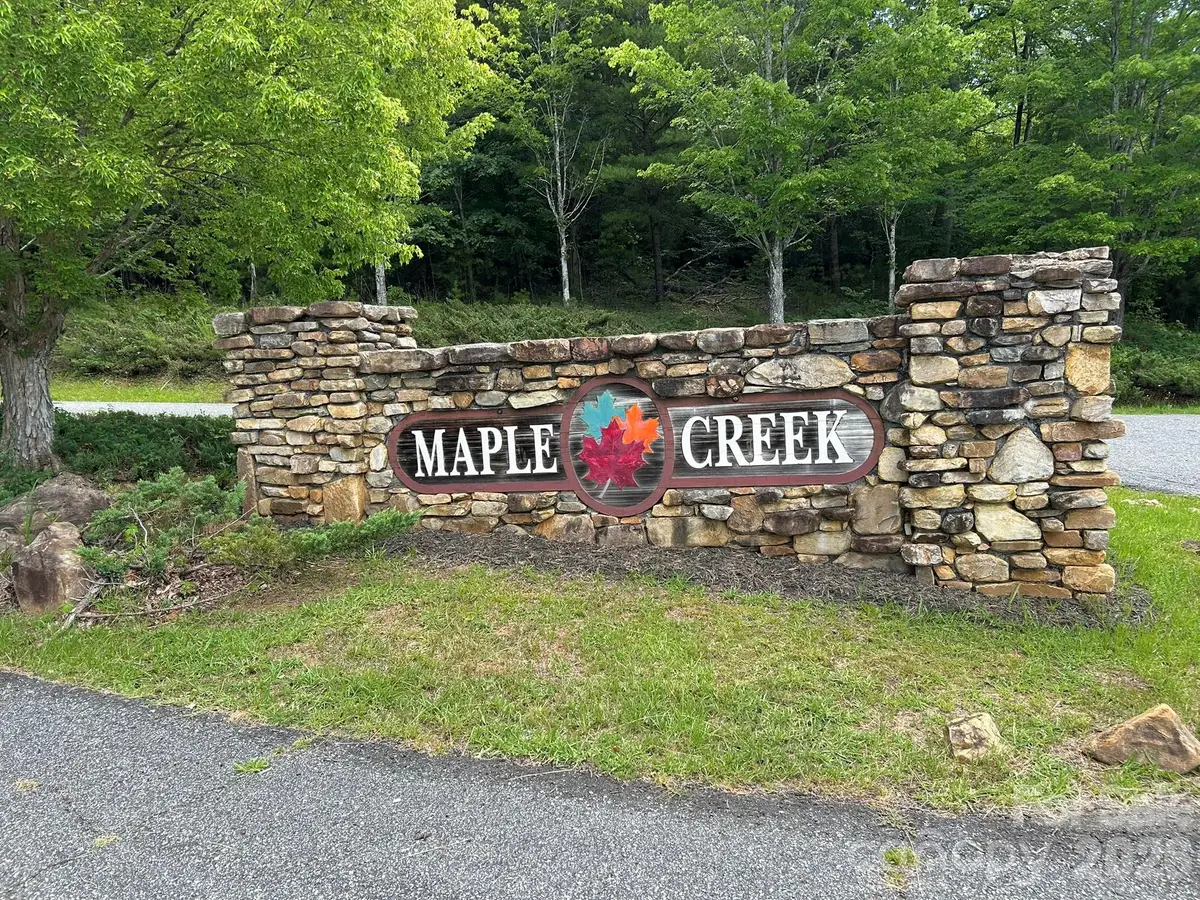 0 Wilderness Ridge #4, Rutherfordton, NC 28139 - #1