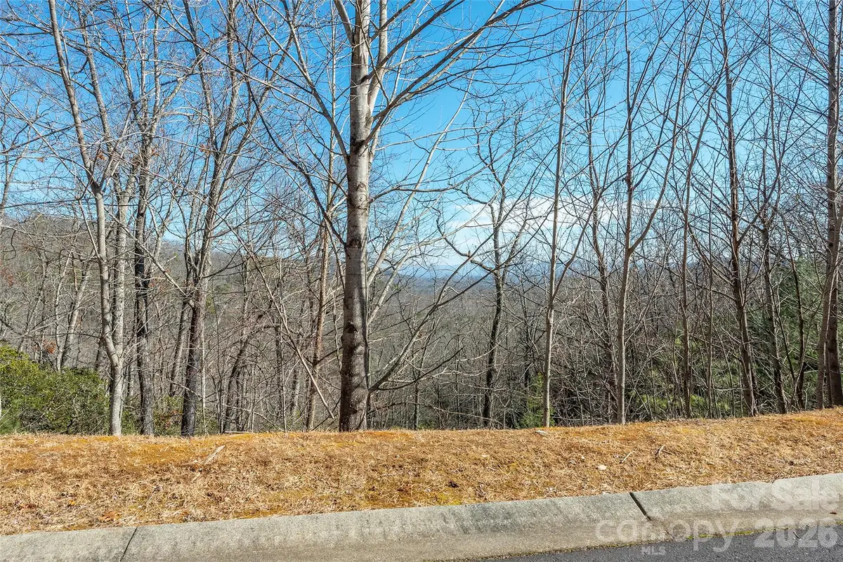99999 Mills River Way #108, Horse Shoe, NC 28742 - #1