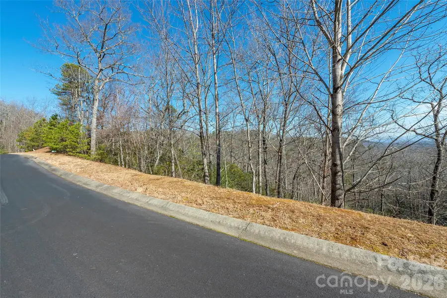99999 Mills River Way #108, Horse Shoe, NC 28742 - #3