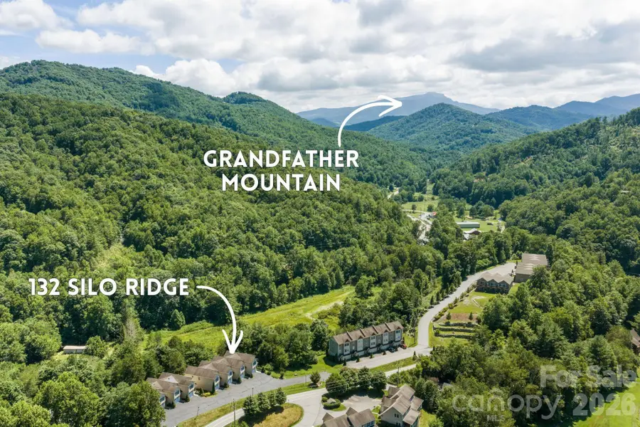 132 Silo Ridge Lane, Vilas, NC 28692 - #2