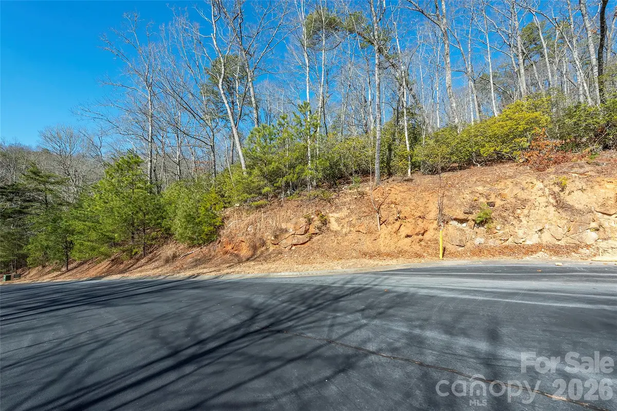 99999 Caddis Lane #92, Horse Shoe, NC 28742 - #1