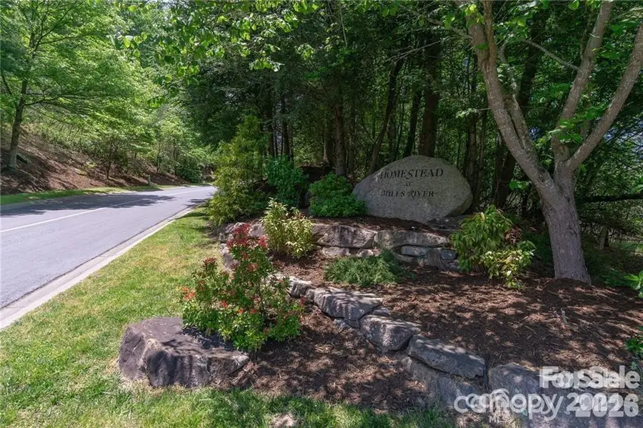 99999 Caddis Lane #92, Horse Shoe, NC 28742 - #3