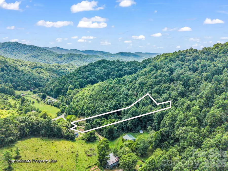 51 Orchard Park Drive, Marshall, NC 28753 - #3