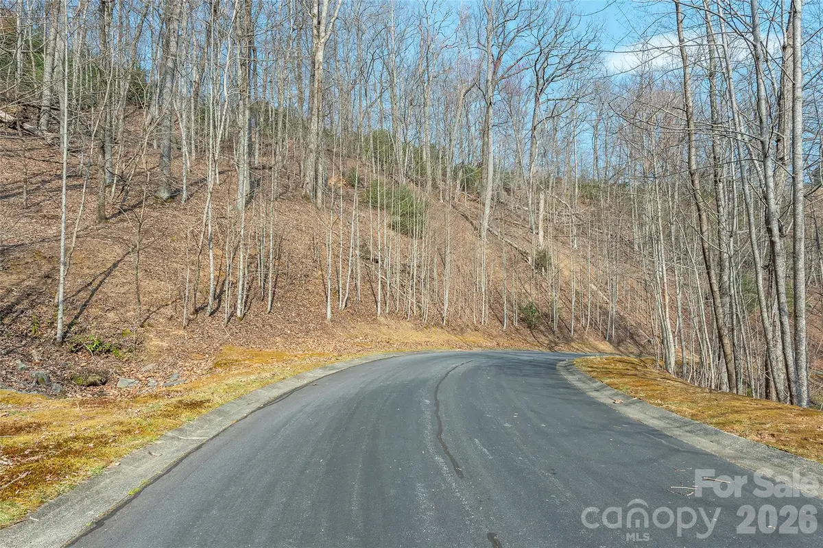 Lot 11 Shining Rock Path, Horse Shoe, NC 28742 - #1