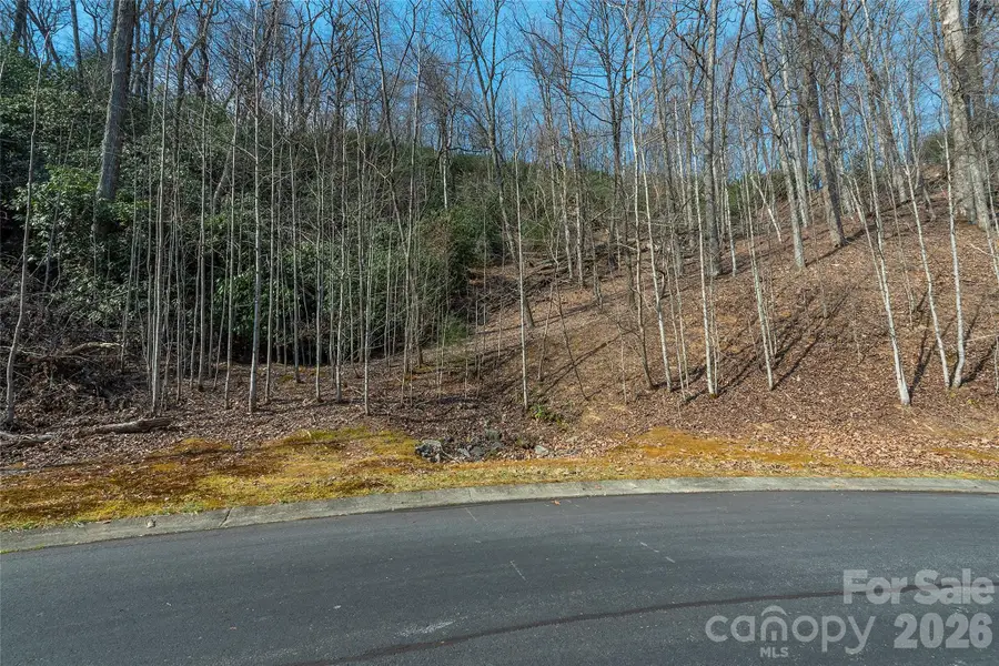 Lot 11 Shining Rock Path, Horse Shoe, NC 28742 - #3